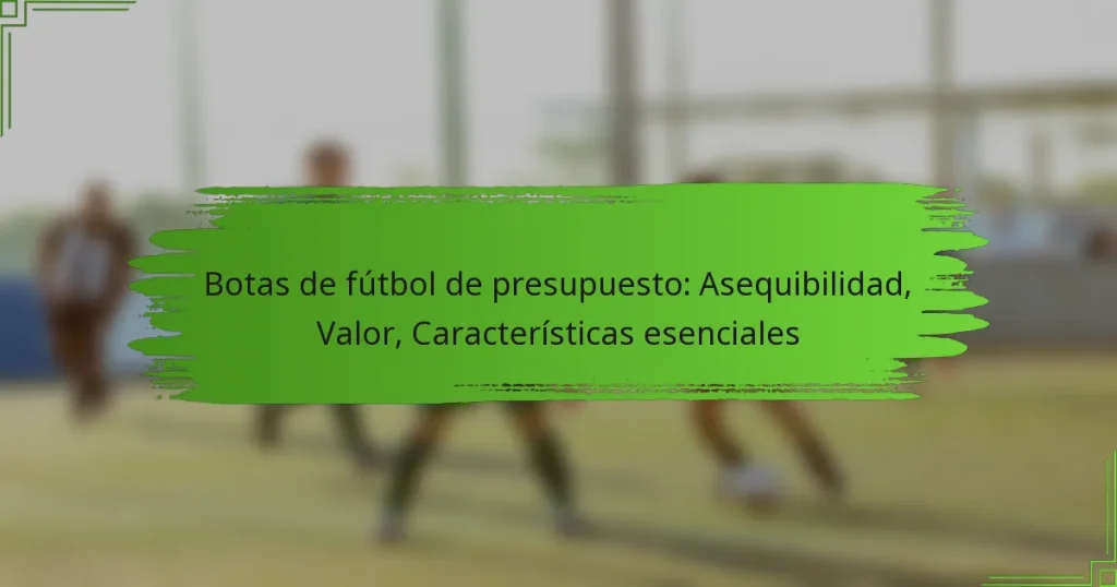 Botas de fútbol de presupuesto: Asequibilidad, Valor, Características esenciales