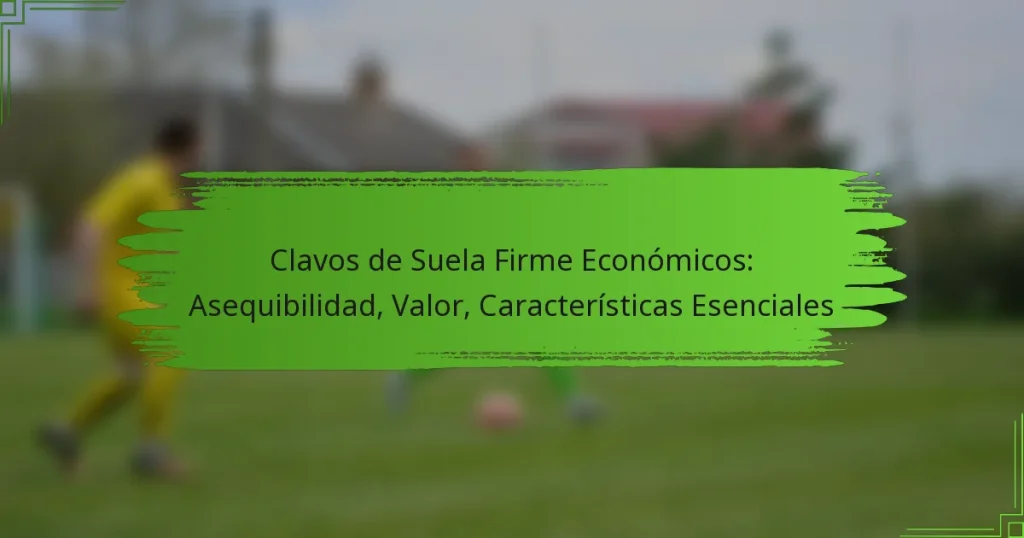 Clavos de Suela Firme Económicos: Asequibilidad, Valor, Características Esenciales
