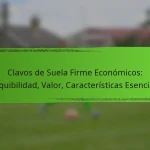 Clavos de Suela Firme Económicos: Asequibilidad, Valor, Características Esenciales