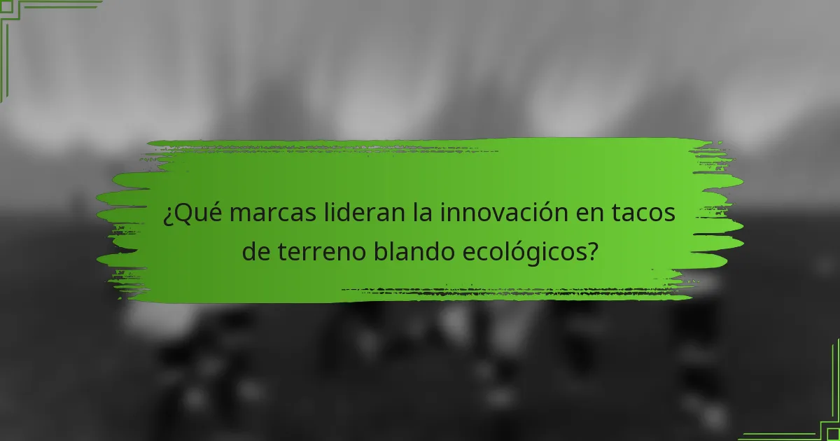 ¿Qué marcas lideran la innovación en tacos de terreno blando ecológicos?